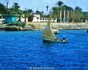 A little sailboat  in the harbour of Port Sudan in 1978. by Alberto Romeo 
